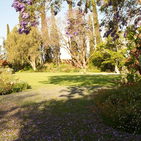 Gerald'S Gift Guest House Addo Dış mekan fotoğraf