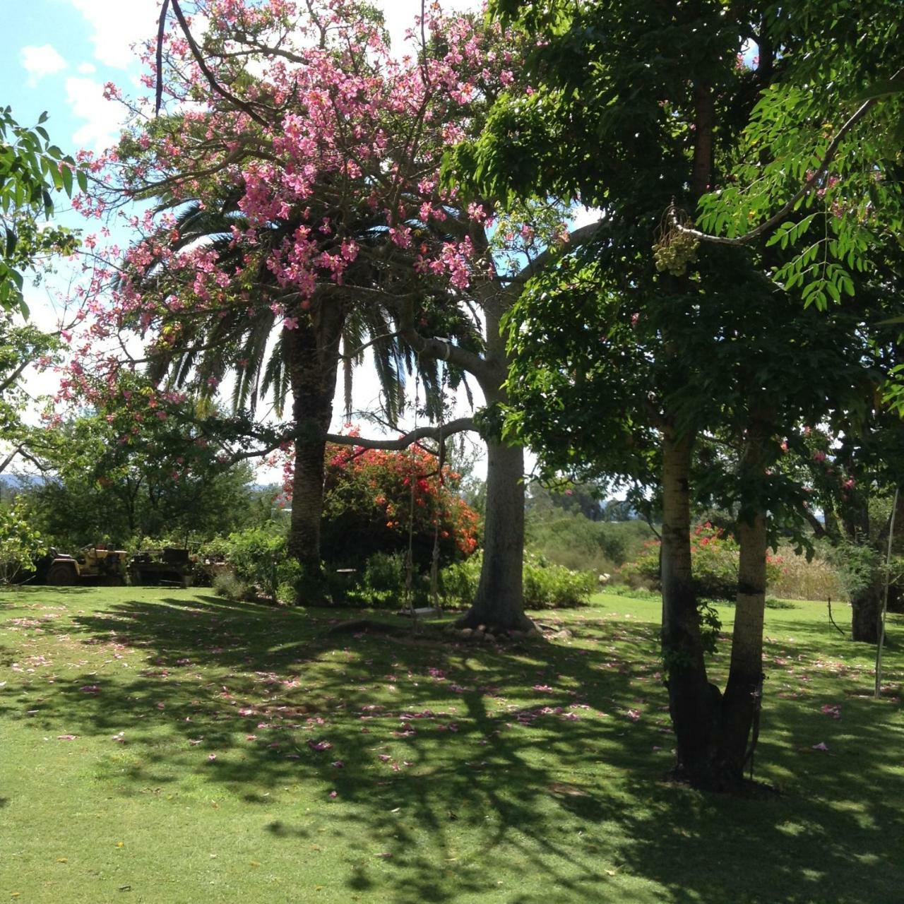 Gerald'S Gift Guest House Addo Dış mekan fotoğraf