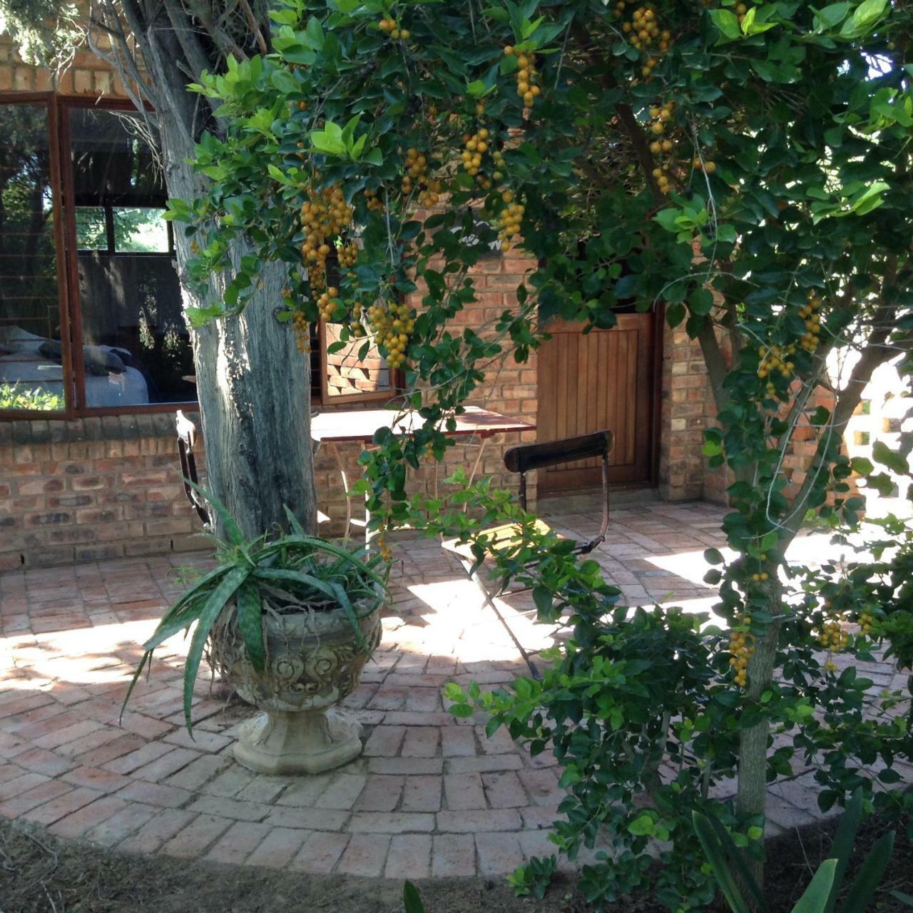 Gerald'S Gift Guest House Addo Dış mekan fotoğraf